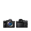 Sony-Alpha-a7s-III-Mirrorless-Body-Camera-Pic4-Nikonegar