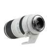 Canon-RF-100-500mm-F4.5-7.1L-IS-USM-Lens-Pic2-Nikonegar