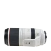 Canon-RF-100-500mm-F4.5-7.1L-IS-USM-Lens-Pic8-Nikonegar