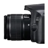 دوربین-کانن-Canon-EOS-3000D-Kit18-55-DC-III-Pic6-Nikonegar